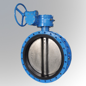 Double-Flanged-Type-Centric-Butterfly-Valve